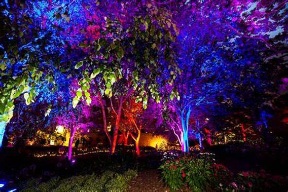 SMART LED-verlichting fabrikanten lights